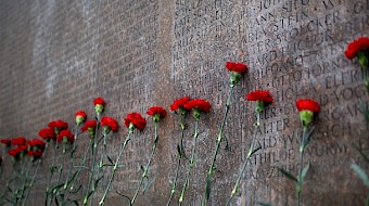 Flowers against a wall